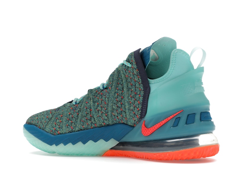Nike LeBron 18 We Are Family