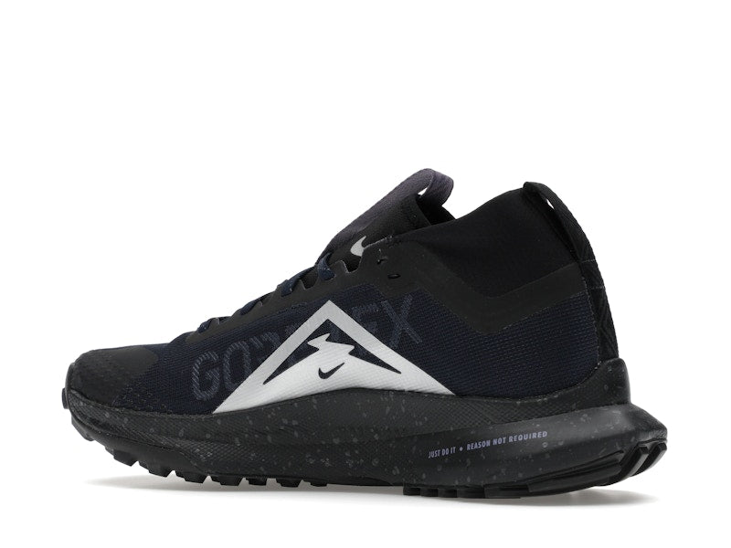 Nike Pegasus Trail 4 Gore-Tex Dark Obsidian Metallic Silver (Women's)