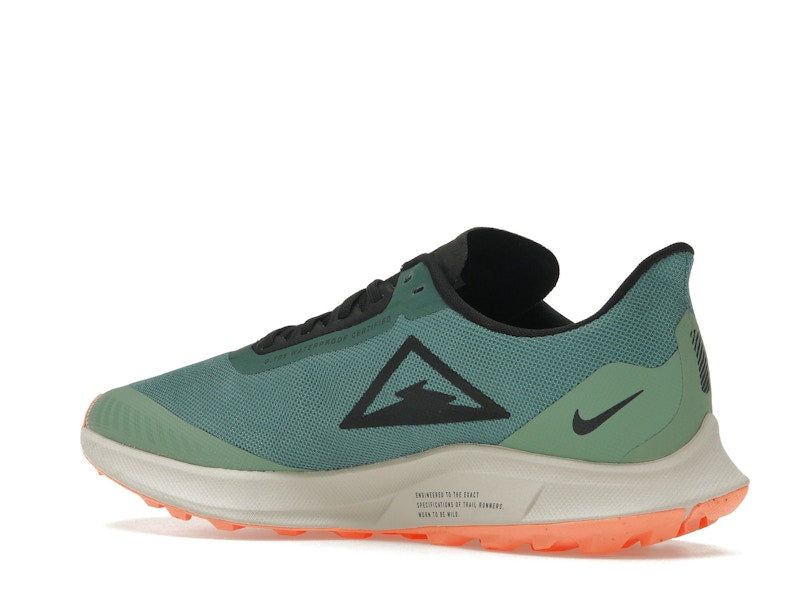 Nike Zoom Pegasus 36 Trail Gore-Tex Bicoastal (Women's)