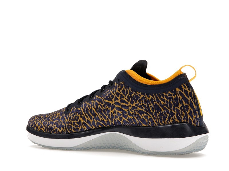 Jordan Trainer 1 Low Michigan