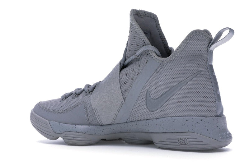 Nike LeBron 14 Silver