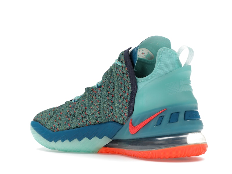 Nike LeBron 18 We Are Family