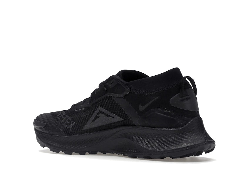 Nike Pegasus Trail 3 Gore-Tex Black Dark Smoke Grey