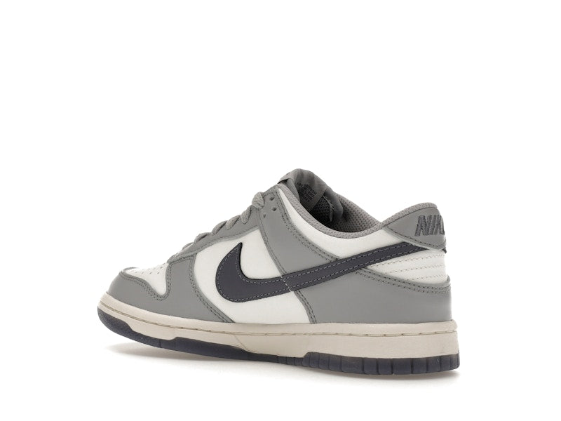 Nike Dunk Low Platinum Tint Light Carbon (GS)