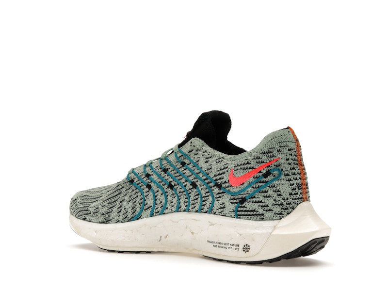 Nike Pegasus Turbo Next Nature 5 Borough Tour