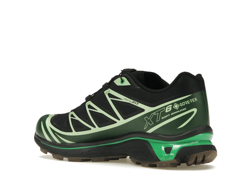 Salomon Advanced XT-6 Gore-Tex Eden Green Ash