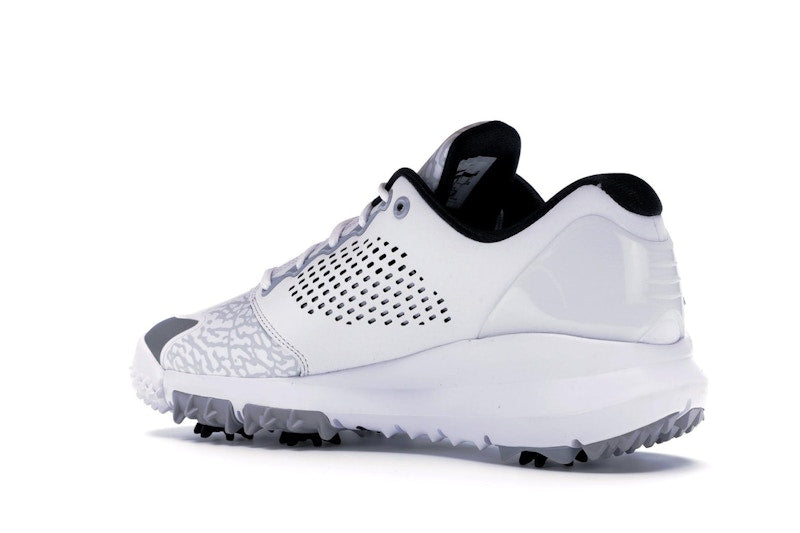 Jordan Trainer ST G White Wolf Grey