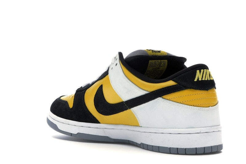 Nike SB Dunk Low Bic