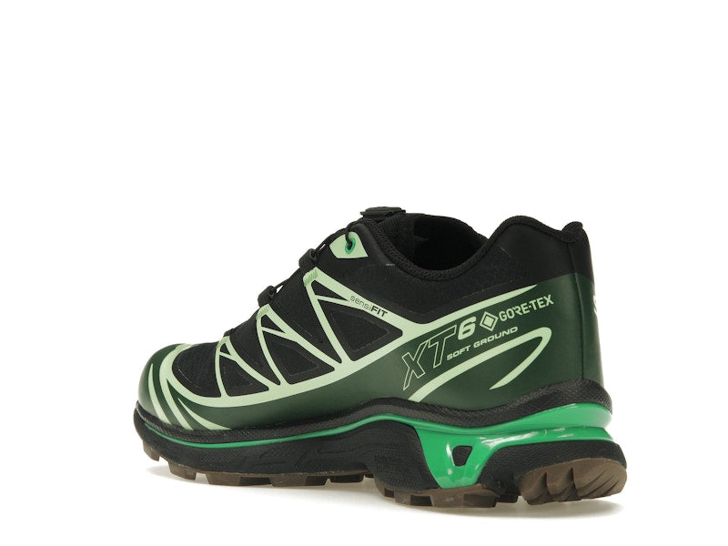 Salomon Advanced XT-6 Gore-Tex Eden Green Ash