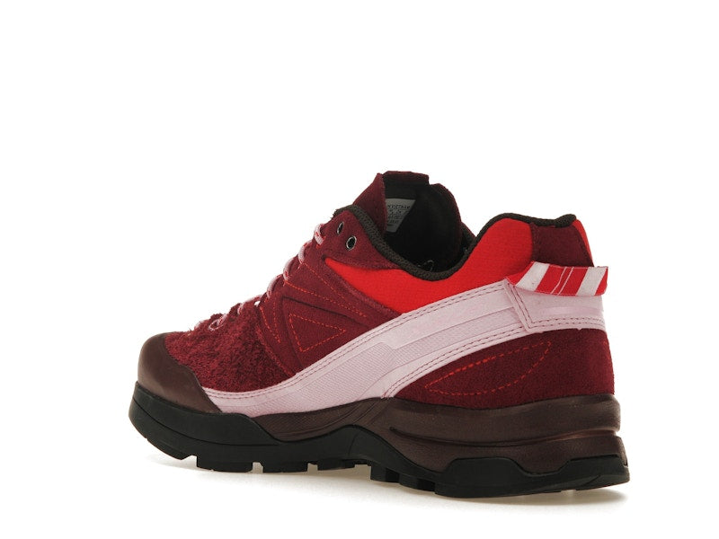 Salomon X-Alpages Gore-Tex The Broken Arm