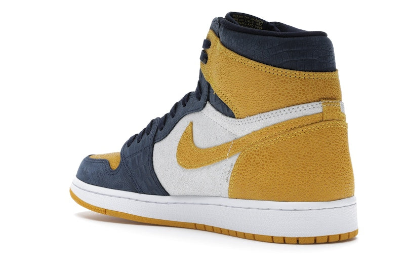 Jordan 1 Retro High Michigan PE
