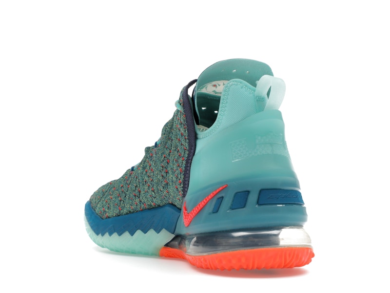 Nike LeBron 18 We Are Family