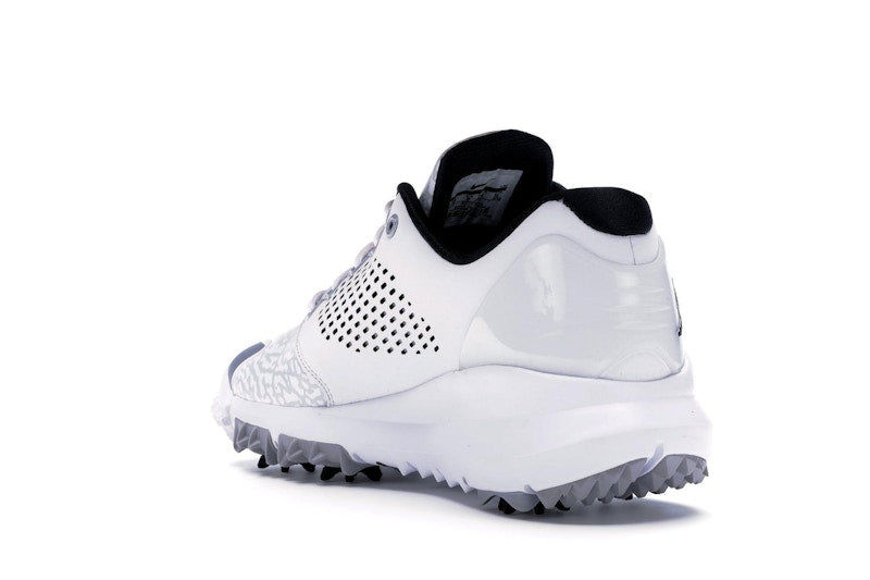 Jordan Trainer ST G White Wolf Grey