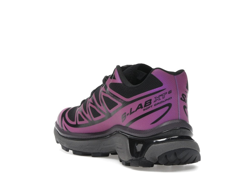 Salomon XT-6 Iridescent Pack