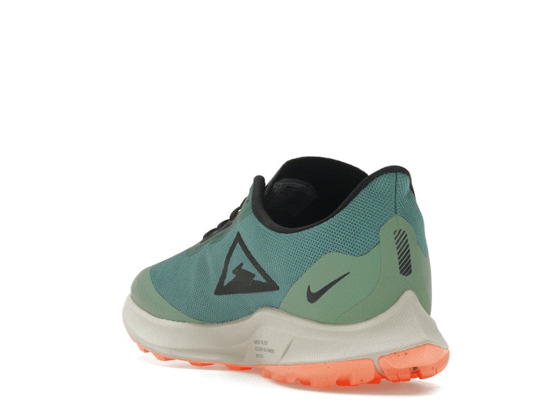 Nike Zoom Pegasus 36 Trail Gore-Tex Bicoastal (Women's)
