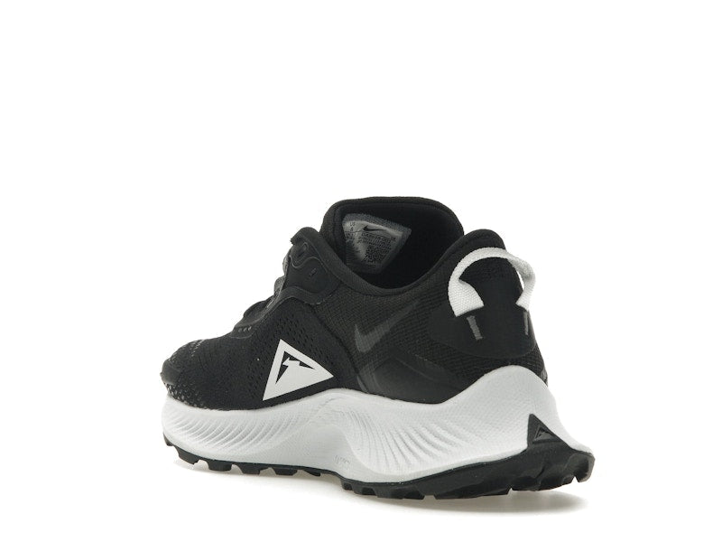 Nike Pegasus Trail 2 Black Platinum (Women's)