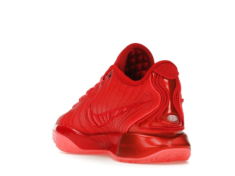 Nike LeBron 21 James Gang