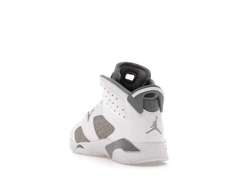 Jordan 6 Retro Cool Grey (PS)