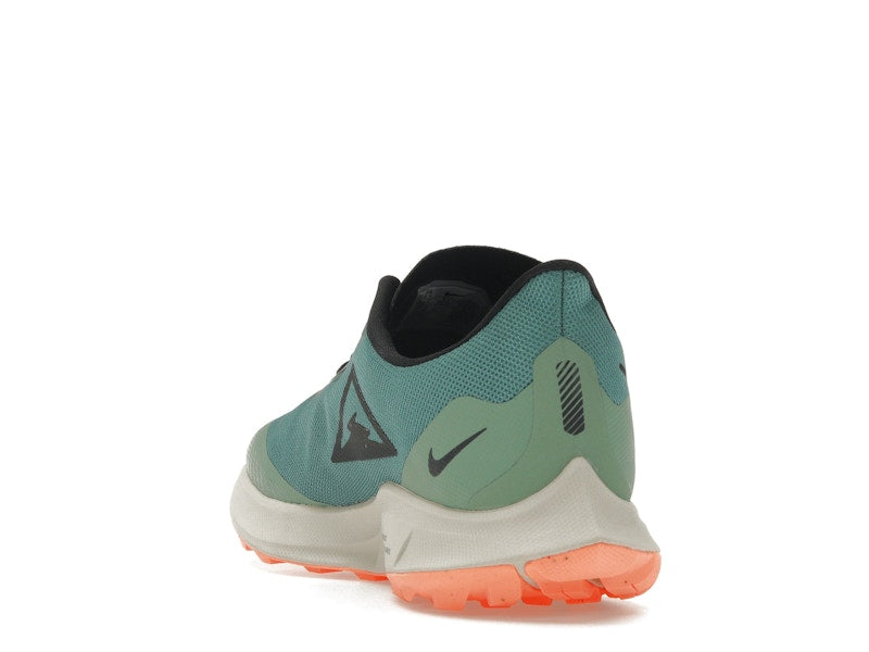 Nike Zoom Pegasus 36 Trail Gore-Tex Bicoastal (Women's)