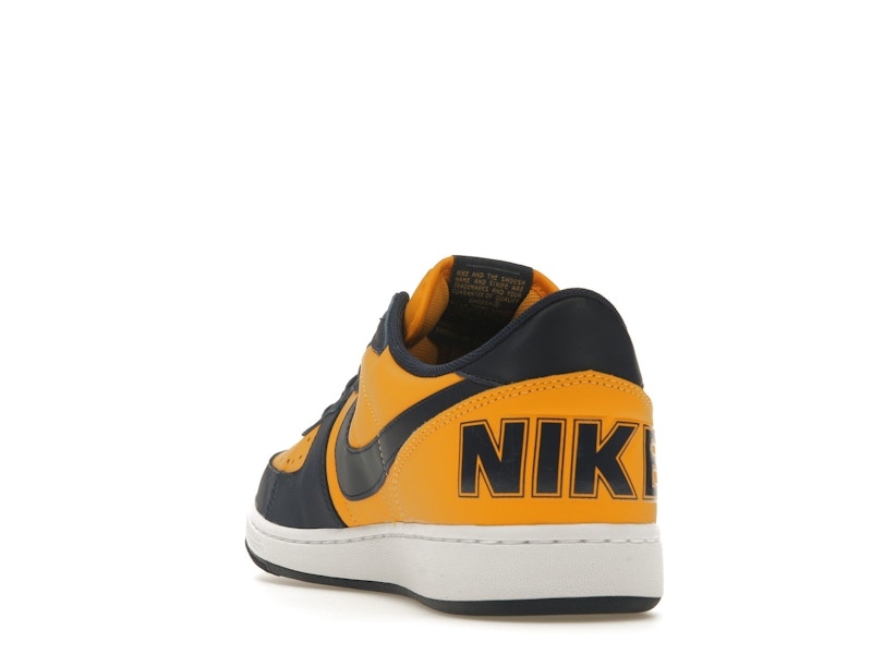 Nike Terminator Low Michigan