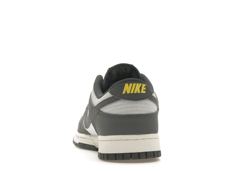 Nike Dunk Low Next Nature Iron Grey Lightning