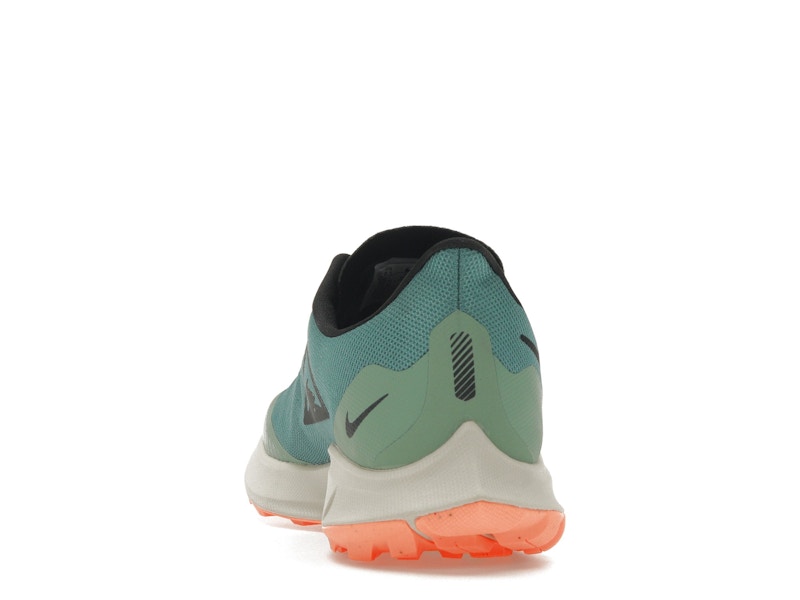 Nike Zoom Pegasus 36 Trail Gore-Tex Bicoastal (Women's)