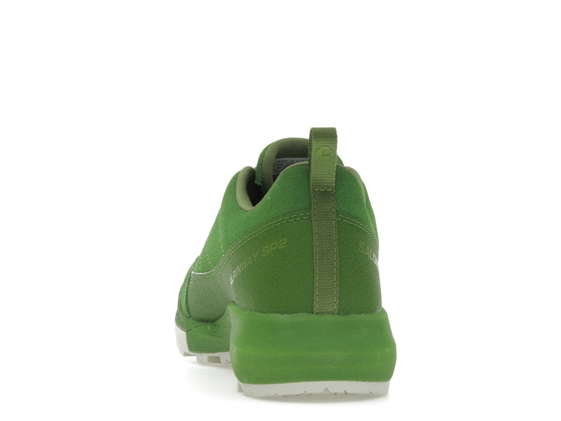 Salomon Alpinway SP2 Philéo Landowski Treetop