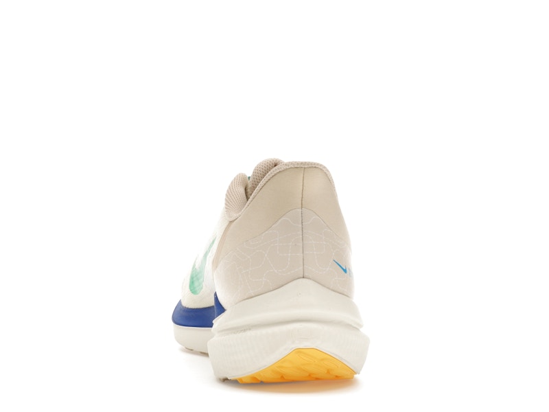 Nike Winflo 9 Premium Nike Moving Company