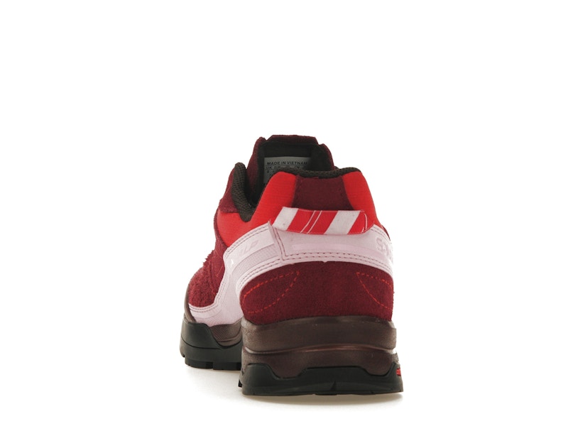 Salomon X-Alpages Gore-Tex The Broken Arm