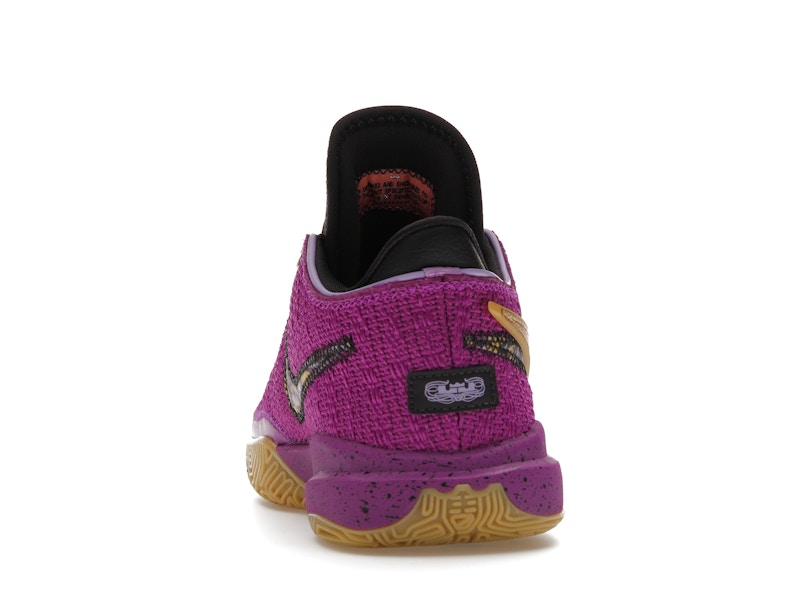 Nike LeBron 20 SE Vivid Purple (GS)