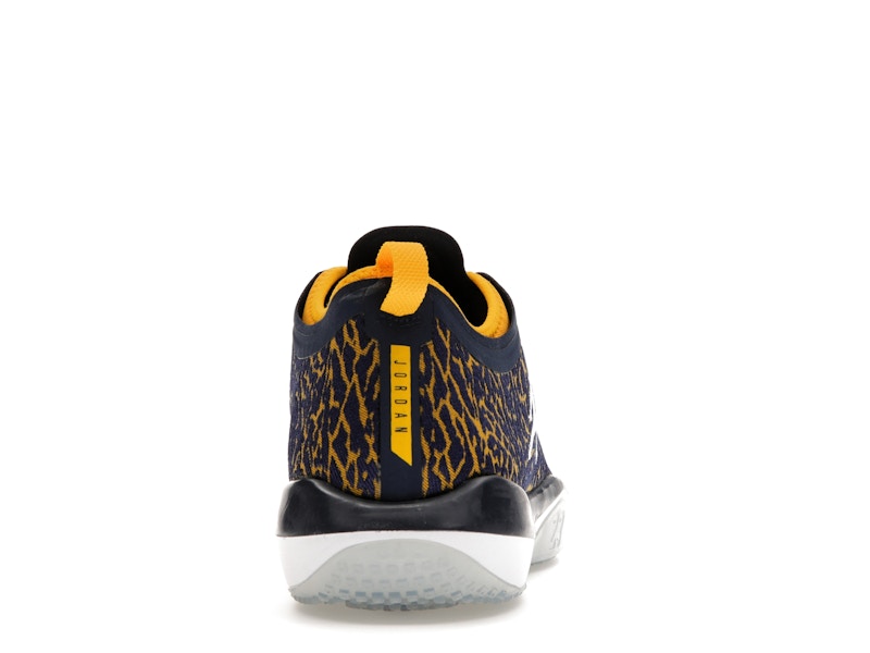Jordan Trainer 1 Low Michigan