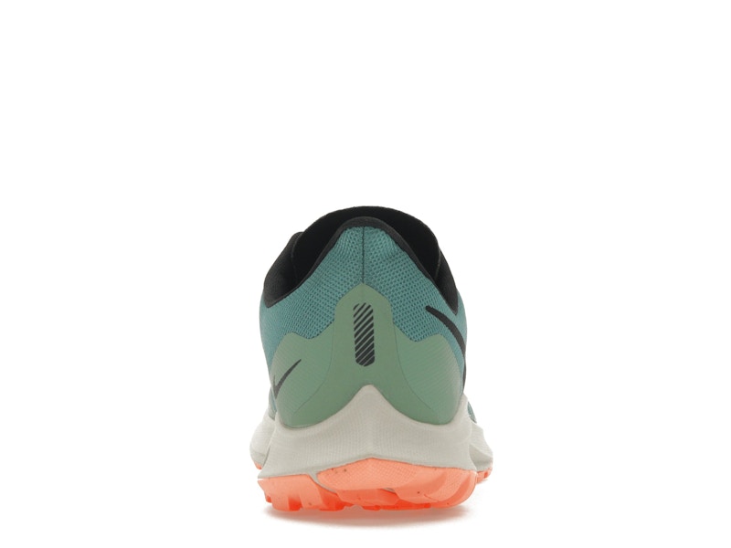 Nike Zoom Pegasus 36 Trail Gore-Tex Bicoastal (Women's)