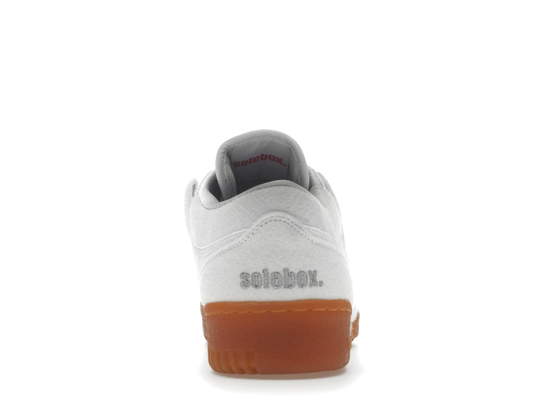 Reebok Workout Lo Solebox Year of Fitness