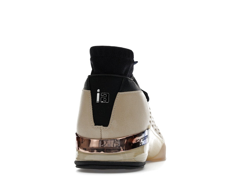Jordan 17 Retro Low SP Infinite Archives