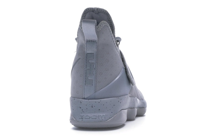 Nike LeBron 14 Silver