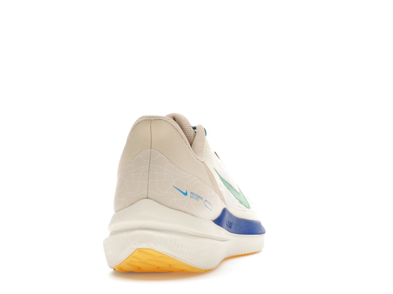 Nike Winflo 9 Premium Nike Moving Company