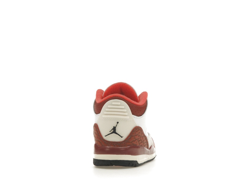 Jordan 3 Retro SE Dunk on Mars (TD)