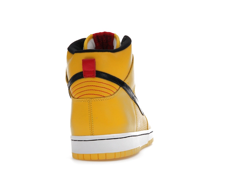 Nike SB Dunk High Wet Floor