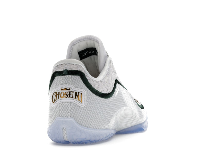 Nike LeBron 23 From This Point Forward