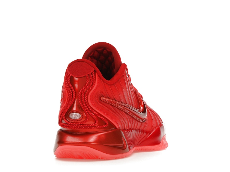 Nike LeBron 21 James Gang
