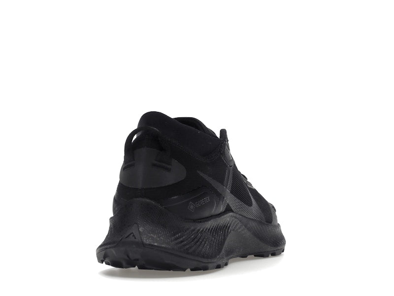 Nike Pegasus Trail 3 Gore-Tex Black Dark Smoke Grey