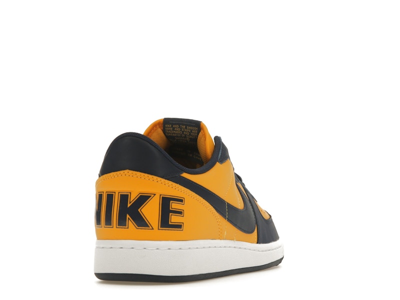 Nike Terminator Low Michigan