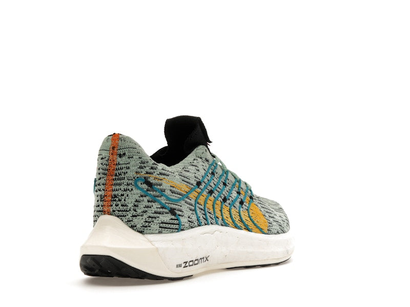 Nike Pegasus Turbo Next Nature 5 Borough Tour