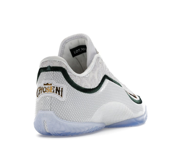 Nike LeBron 23 From This Point Forward