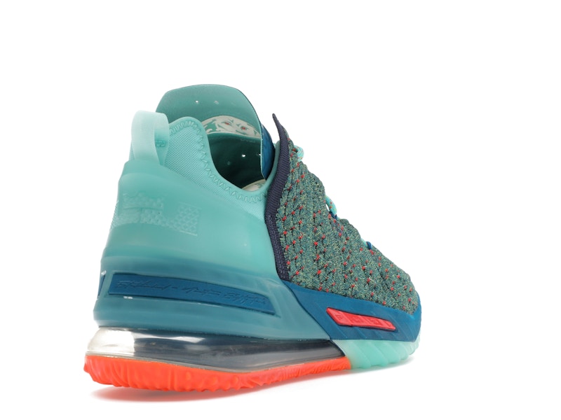Nike LeBron 18 We Are Family