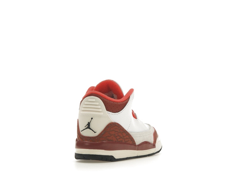 Jordan 3 Retro SE Dunk on Mars (TD)