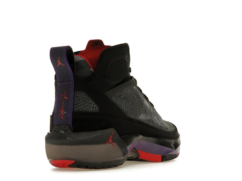 Jordan 37 Raptors