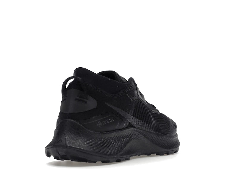 Nike Pegasus Trail 3 Gore-Tex Black Dark Smoke Grey