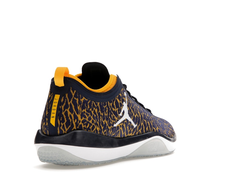 Jordan Trainer 1 Low Michigan