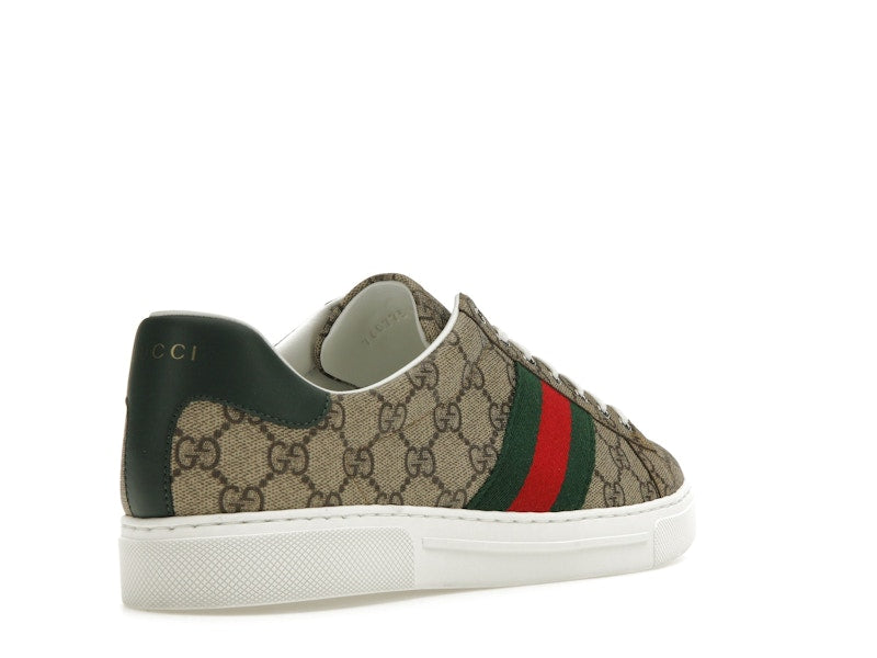 Gucci Ace Web Beige Ebony